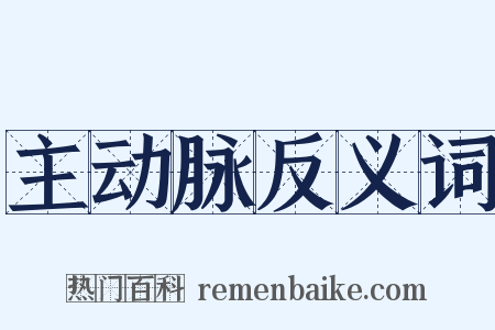 主动脉反义词是什么意思的图片